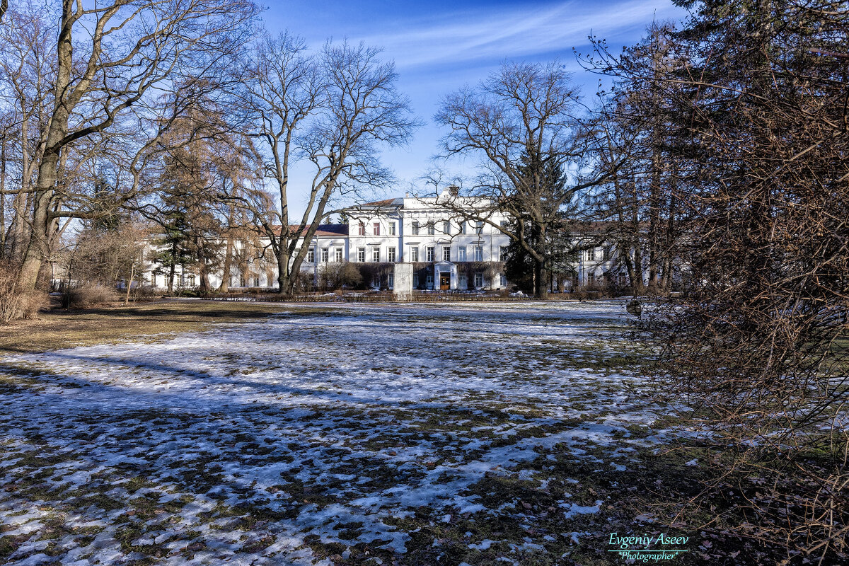 Весна в парке Лесотехнической академии - Евгений 