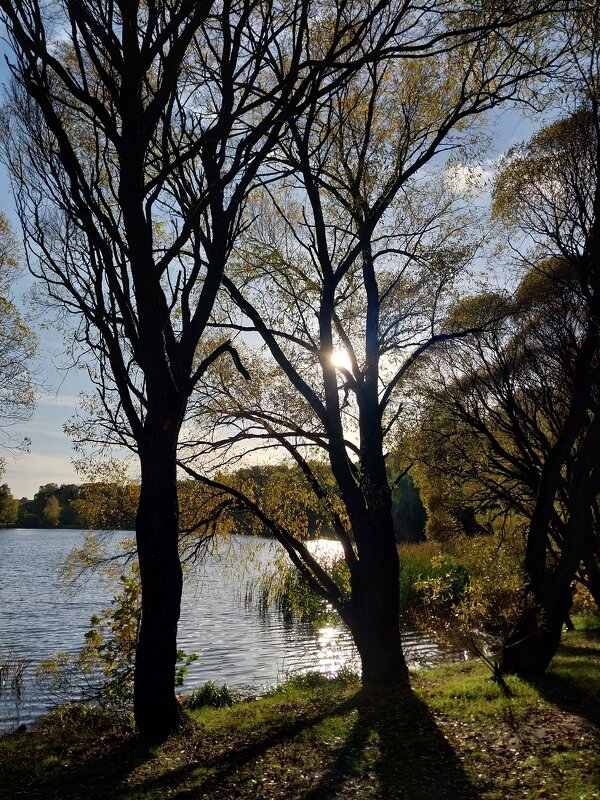 ... - Маргарита Б