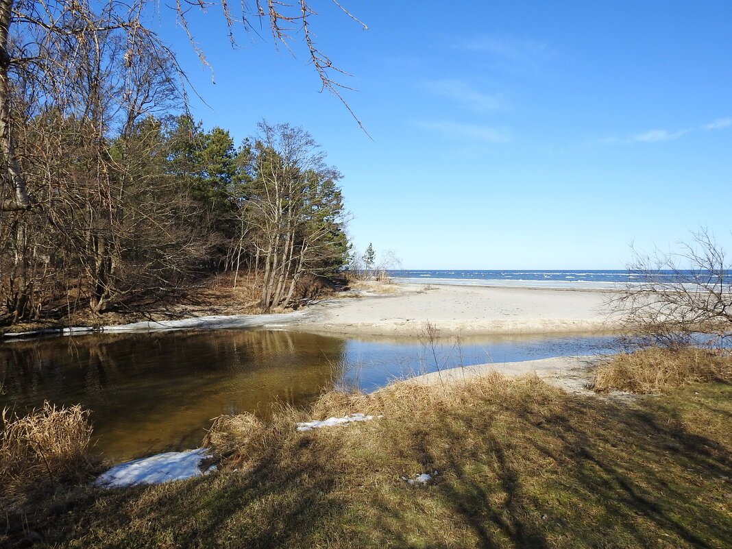 весна - ИННА ПОРОХОВА