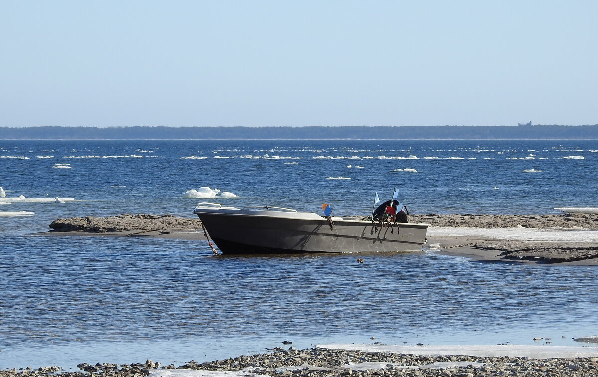 весна - ИННА ПОРОХОВА