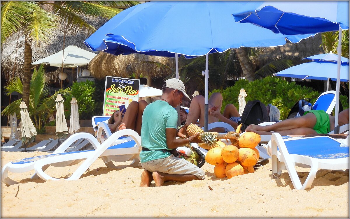 Продавец фруктов - Mike Collie