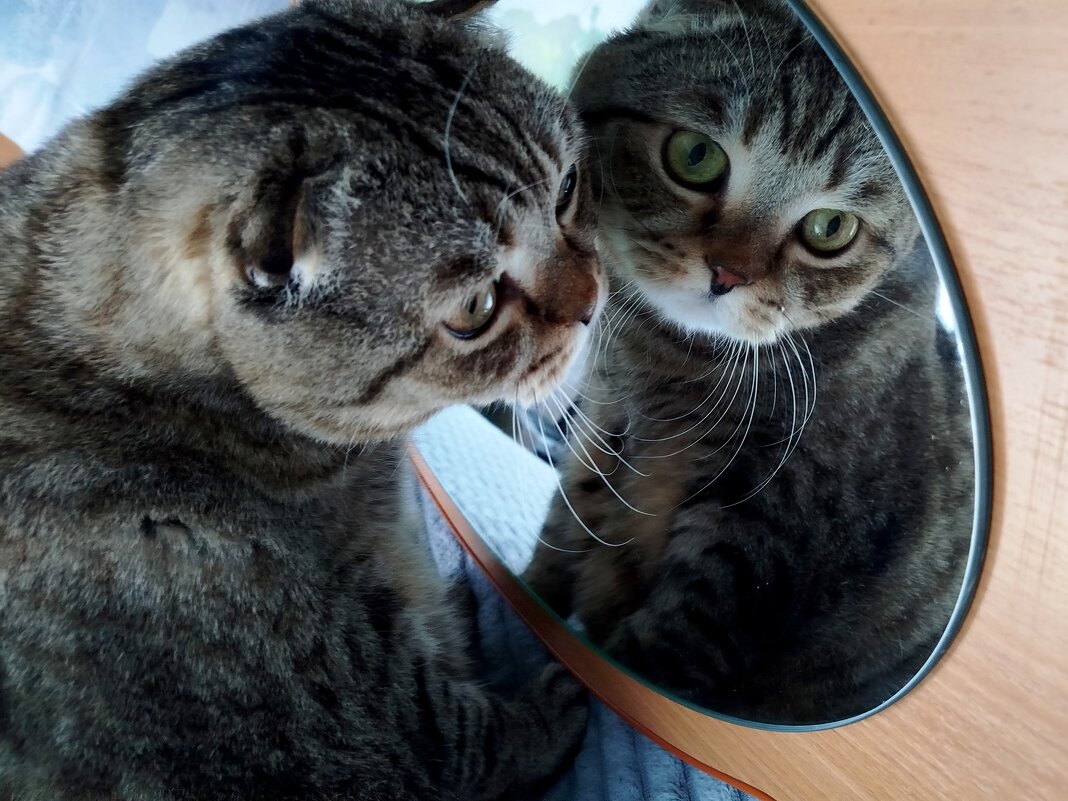 О,ты кто? - светлана льдокова