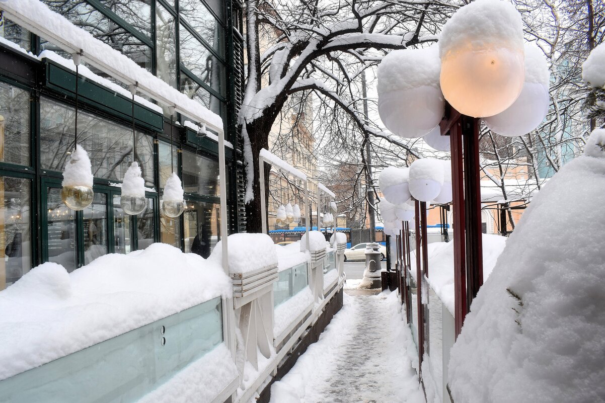 По заснеженным тропам. - Татьяна Помогалова
