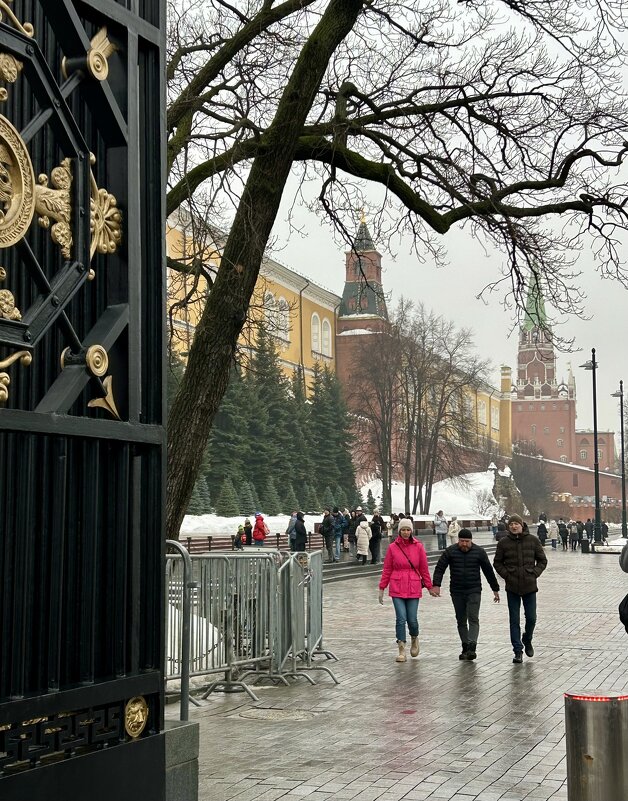 Александровский сад - Натали 