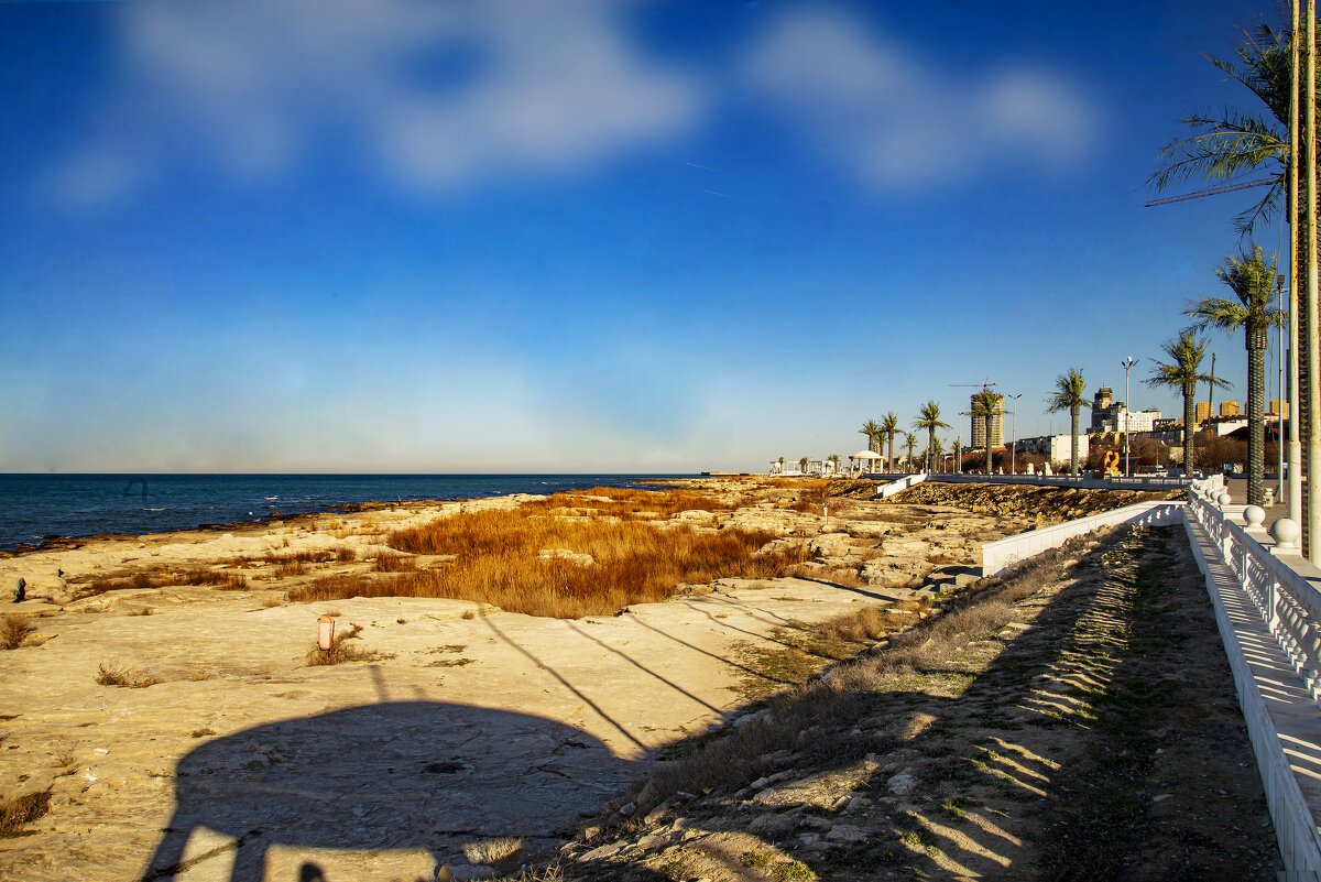 Каспийский берег - Анатолий Чикчирный