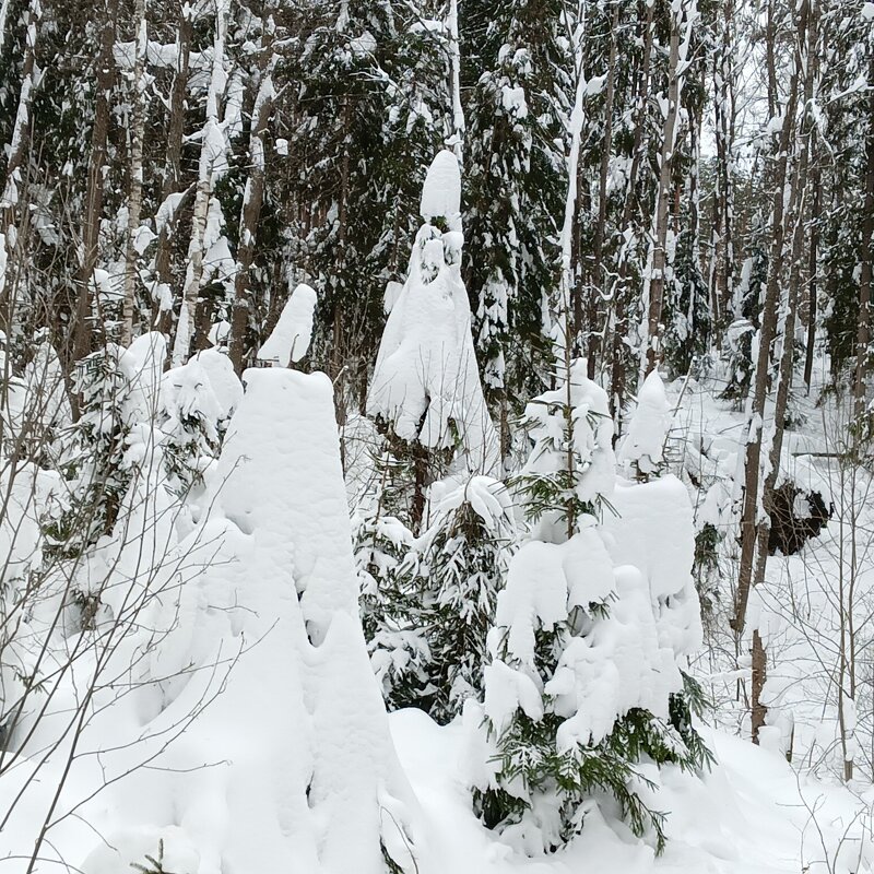 подготовка к концерту - Владимир 