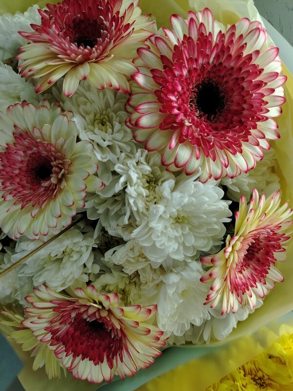 Весна! Цветы! - Надежда 