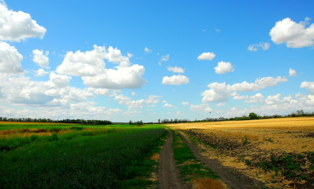 Август. - Владимир 