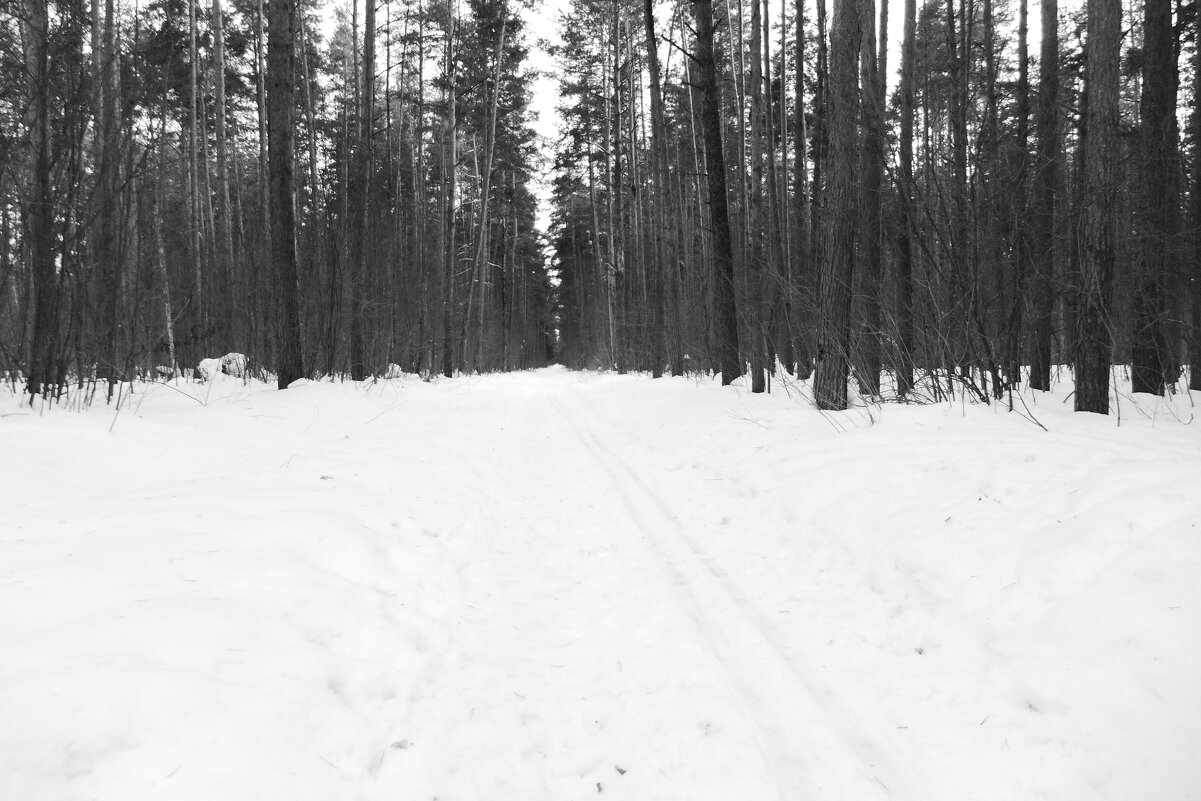 Мечты о ч/б Лейке 40. Объектив Лейка. - Михаил Елочкин