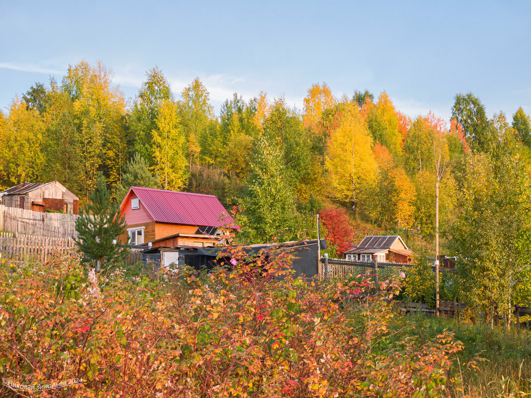 Дачи на Крайнем Севере. - Николай Зиновьев