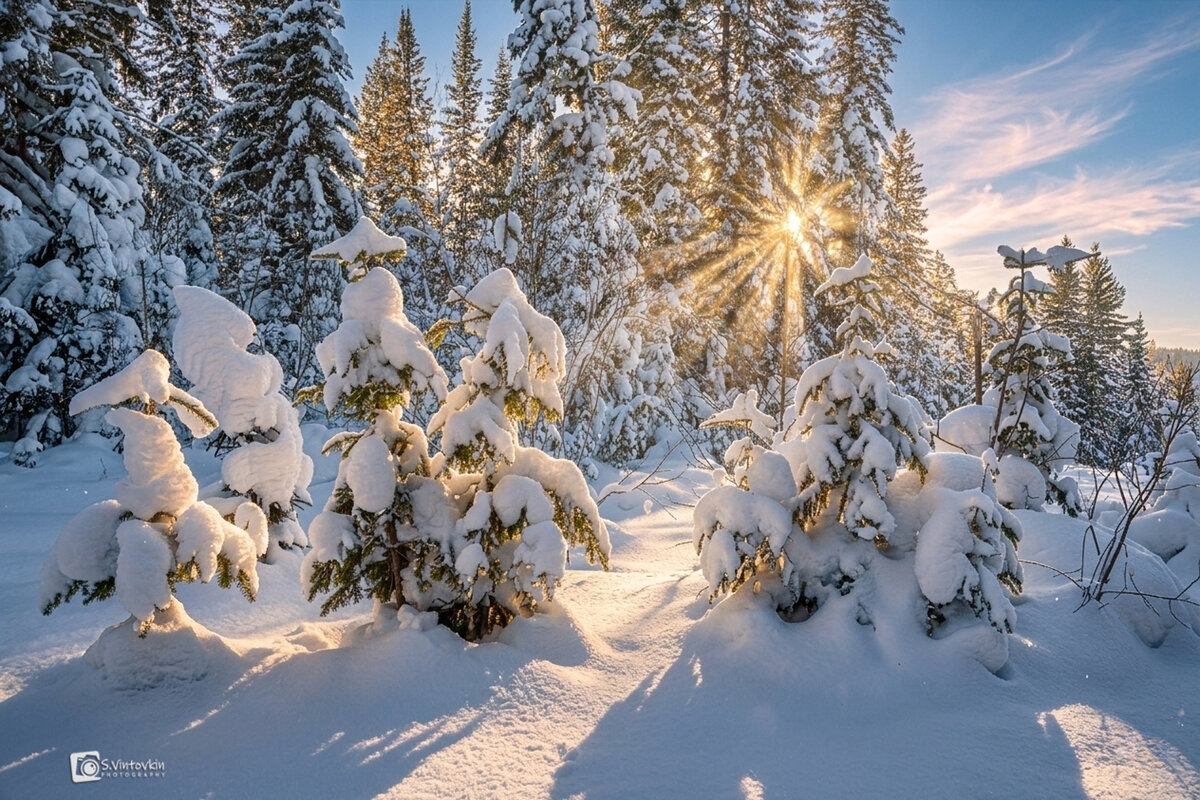 Уже весна! Но зима ни как покидать нас не хочет). - Сергей Винтовкин