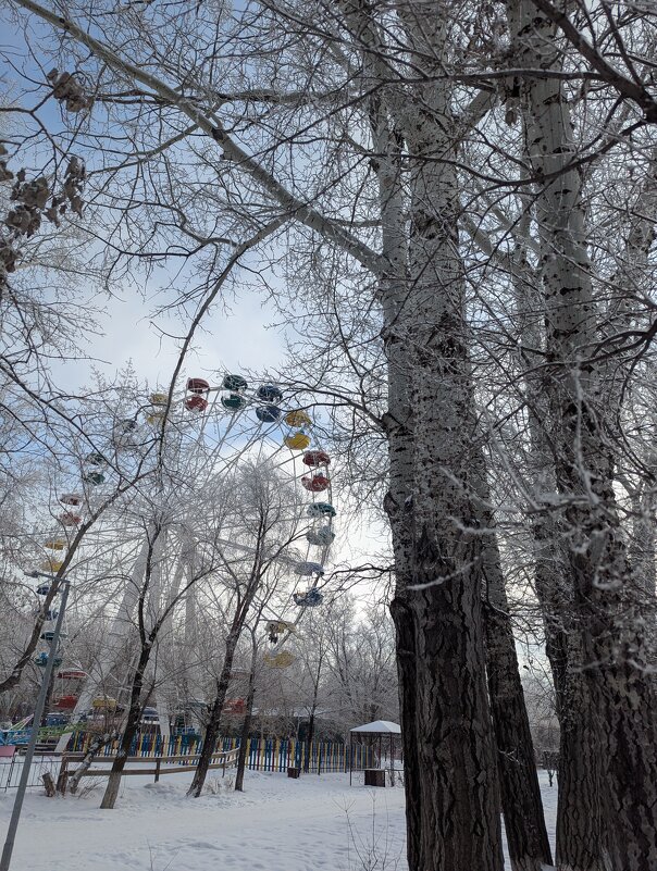 Колесо - Андрей Хлопонин