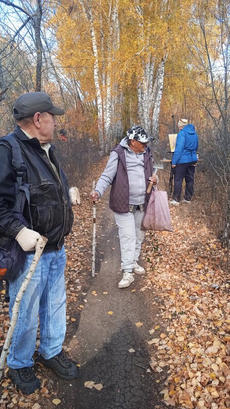 в берёзовой аллее - Елена Шаламова