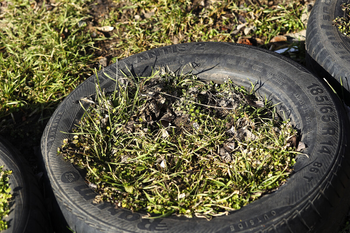 Травка зеленеет - Юрий Гайворонскiий