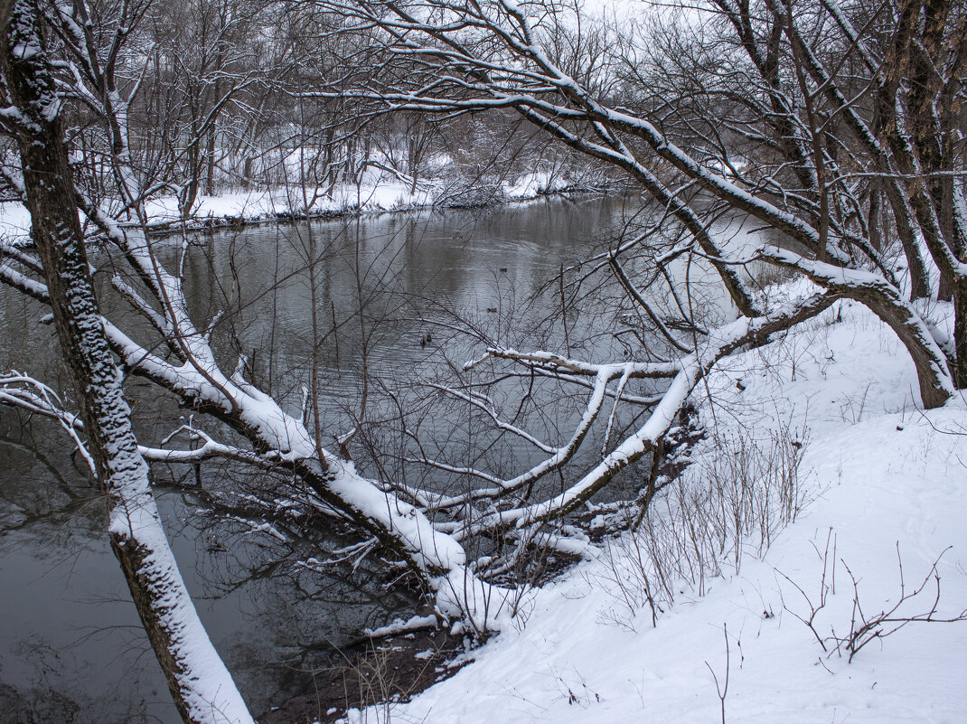 Зима. - Александр. AVG100 ---