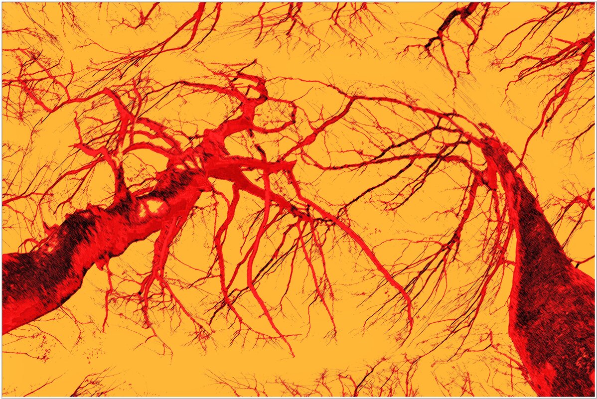 СТРАСТЬ... - Elvira E. 
