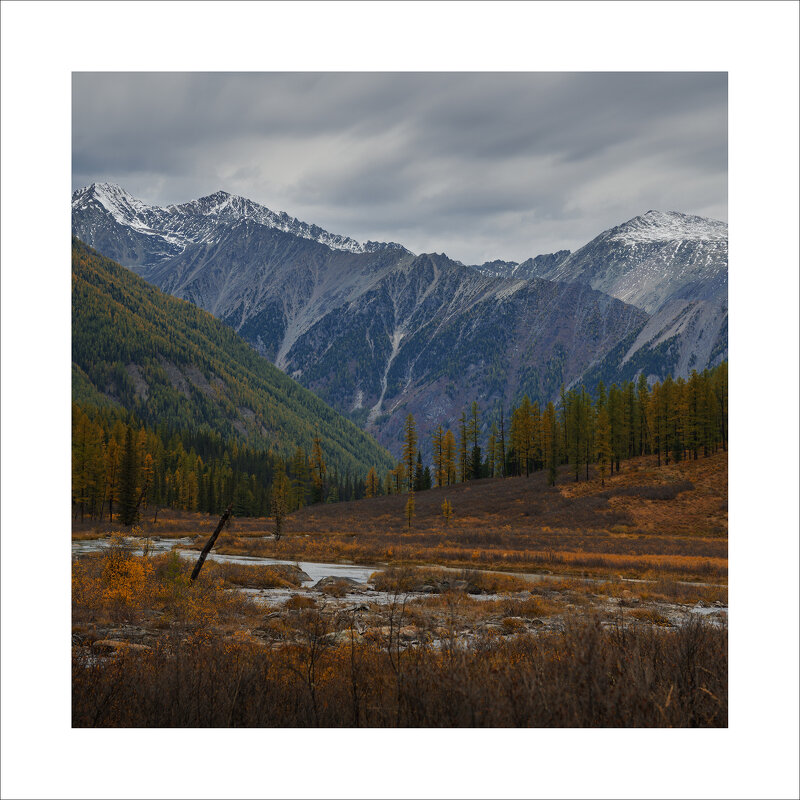 * - Александр Иванов