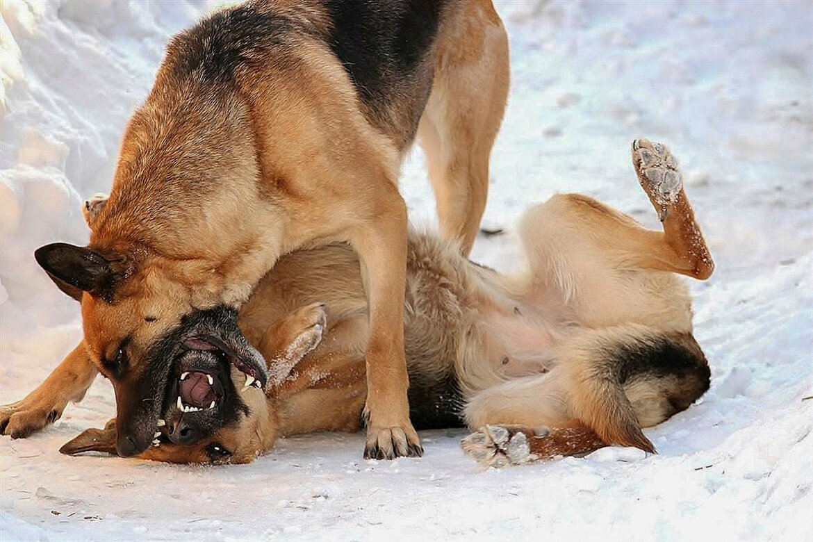 Мать с дочкой(обучение) - елена беликова