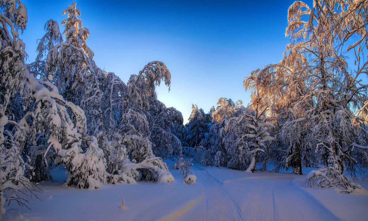 На распутье - Vladimbormotov 