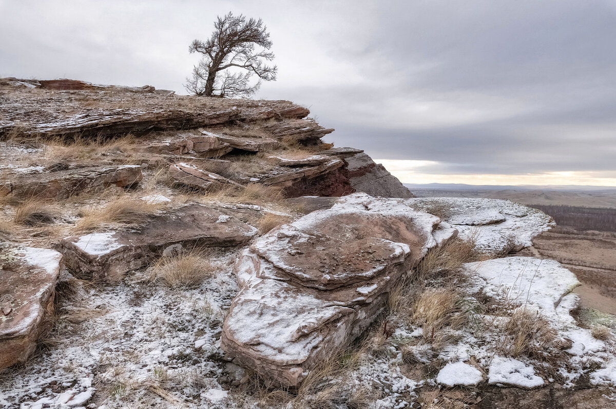 Присыпаны снегом - Марина Фомина.