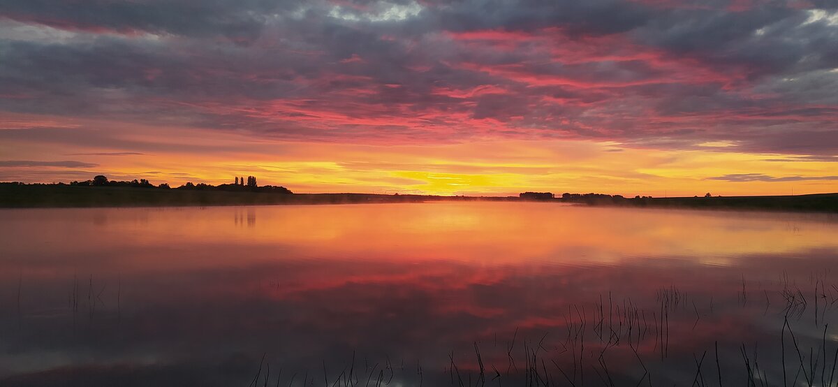 рассвет на пруду - Виталий Емельянов