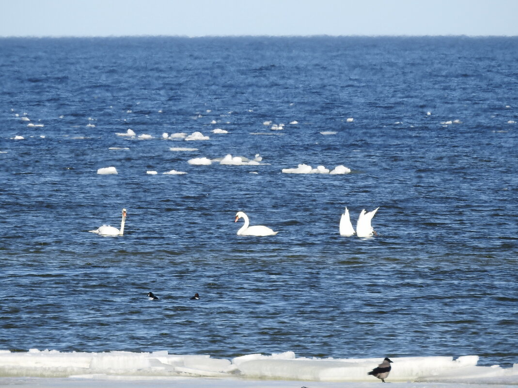 на море - ИННА ПОРОХОВА