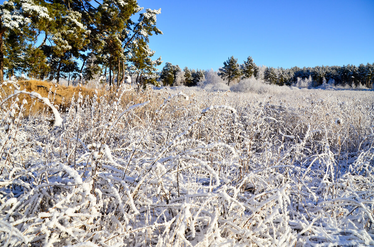 Зимний пейзаж. - Михаил Курзанцев