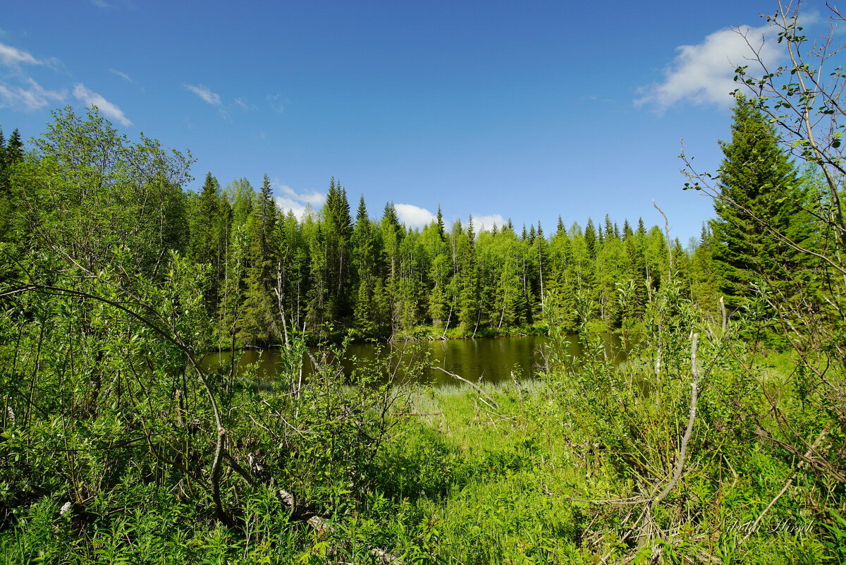 Уральские мотивы... - Николай Гирш
