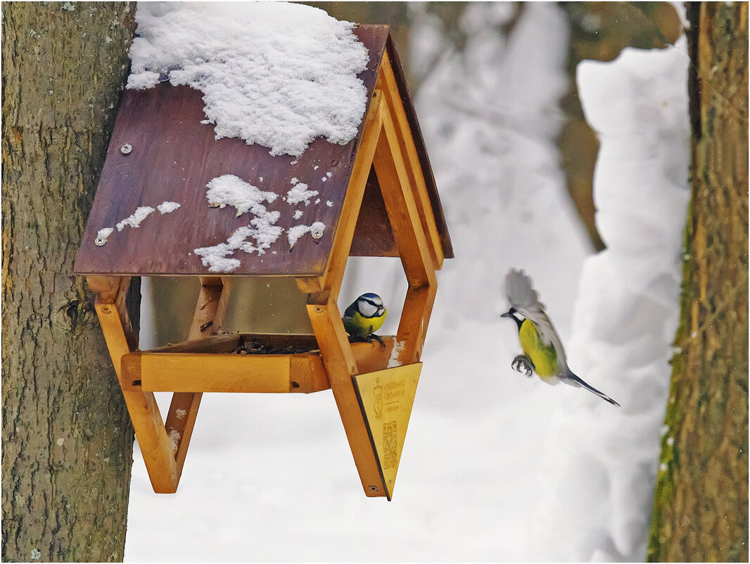 Перезимовали - Валентин Котляров