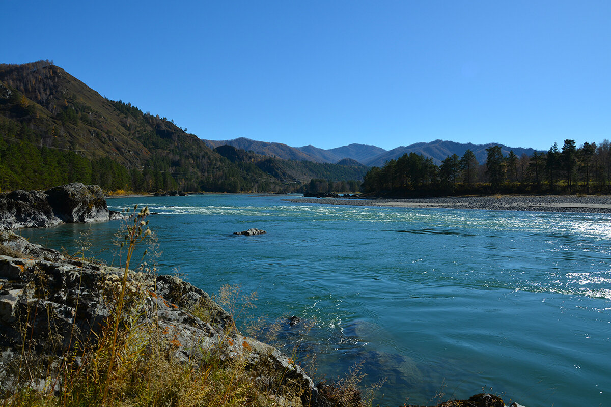 Катунь - Валерий Медведев