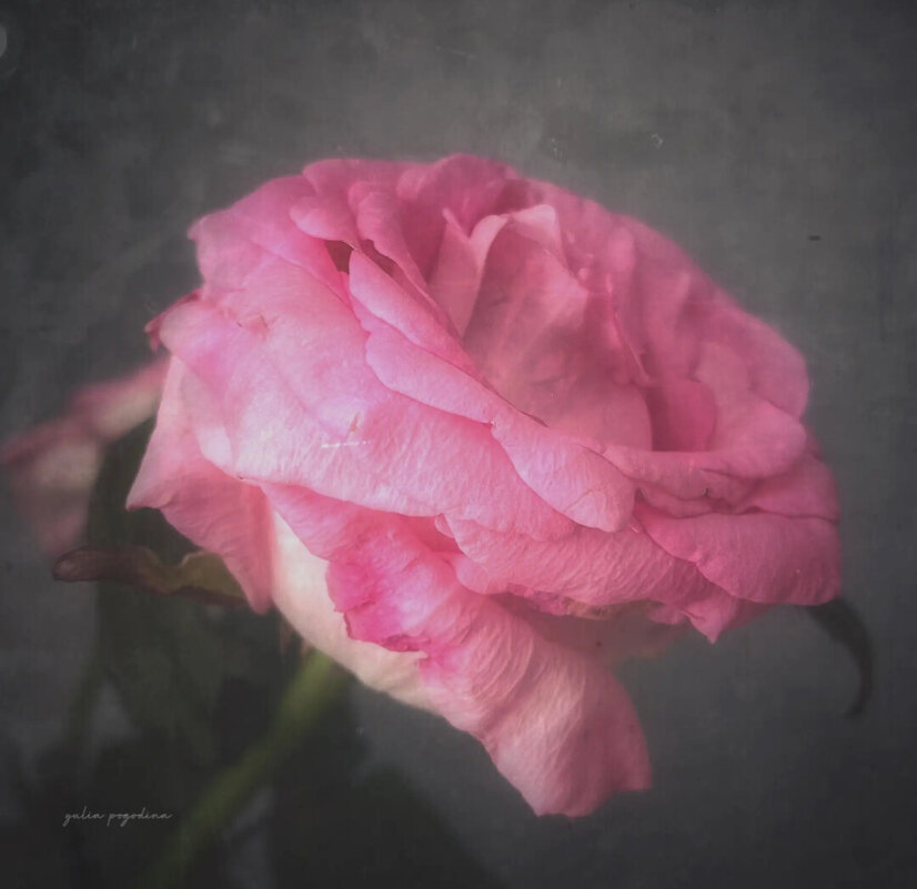 Весеннее настроение - Юлия Погодина