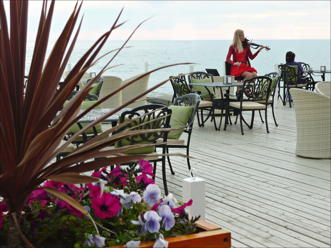 Очаровательная скрипка звучит для милых дам! - Надежда 