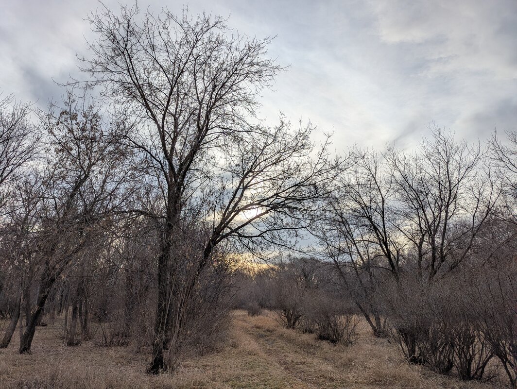 Осенний день - Андрей Хлопонин