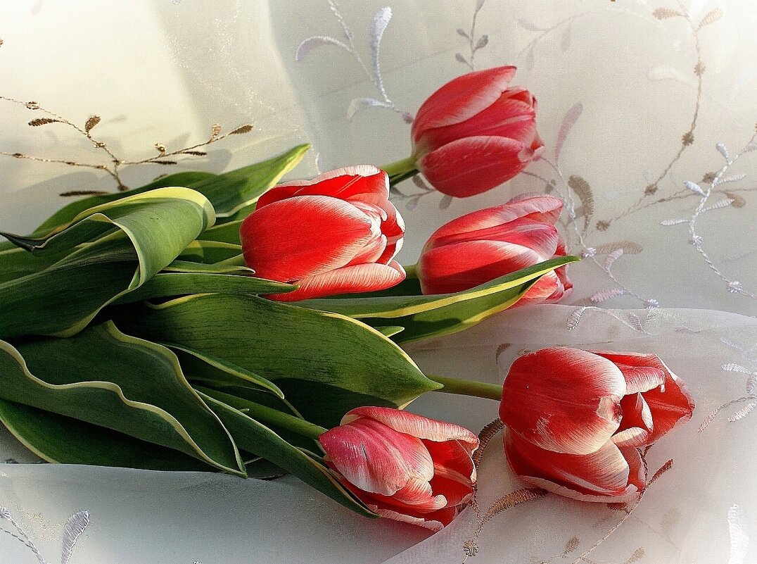 С Днем 8 Марта, милые женщины! - Галина Нестратова