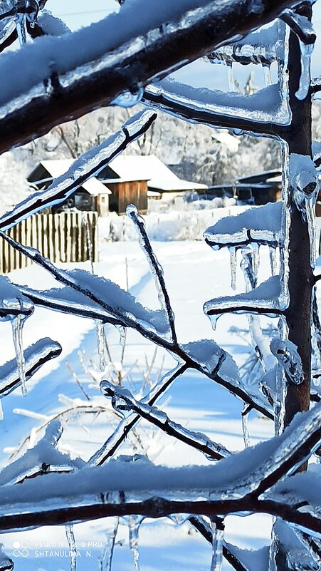 зима - Наталья Штанулина