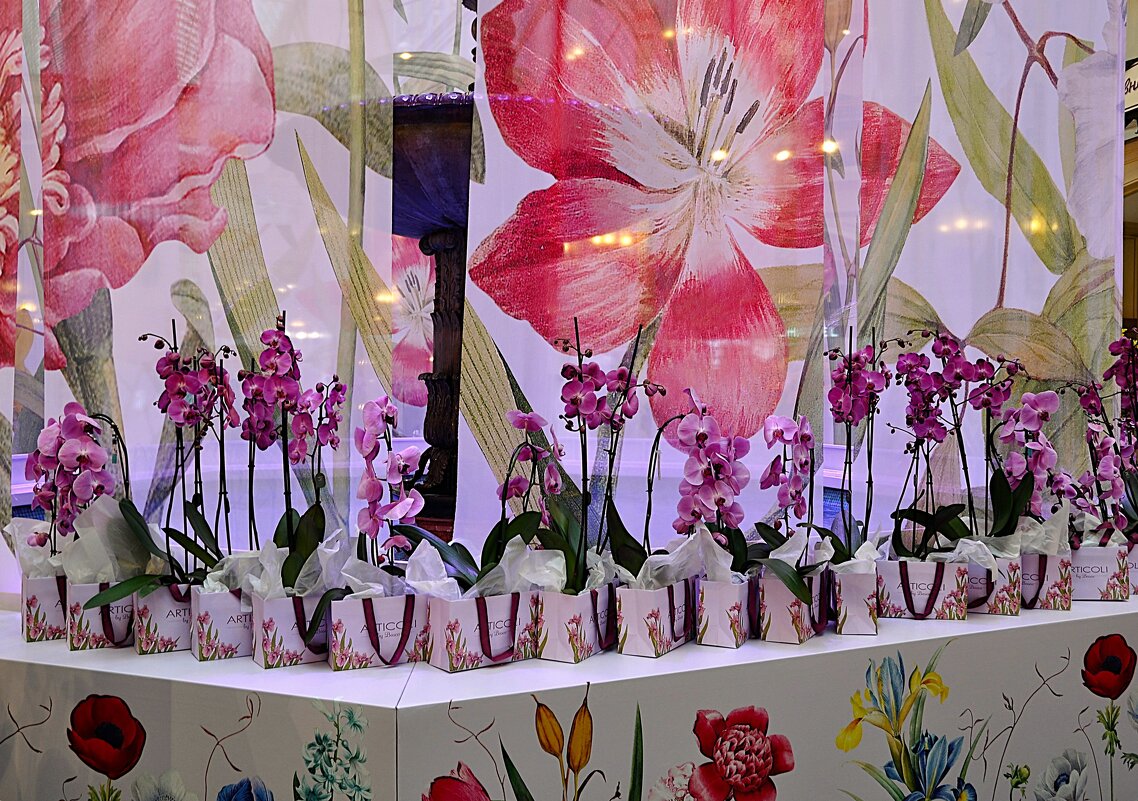 С Праздником , дорогие женщины ! С 8 марта ! - Анатолий Колосов