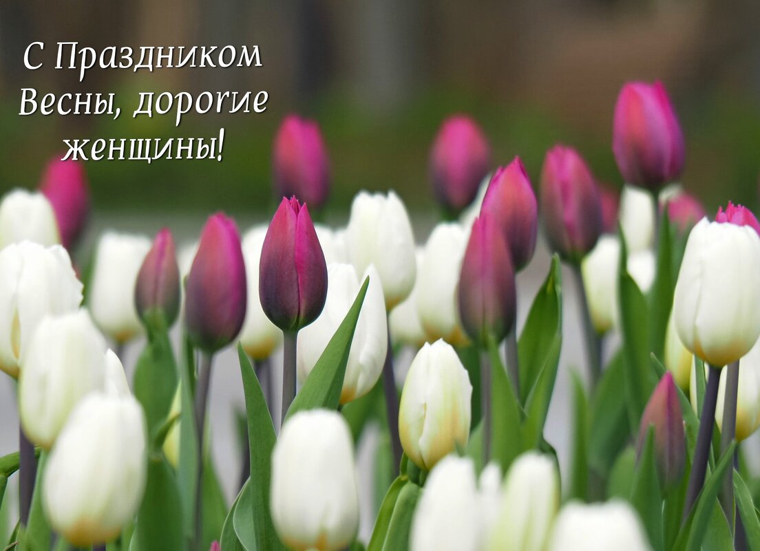 ... - Магомед .