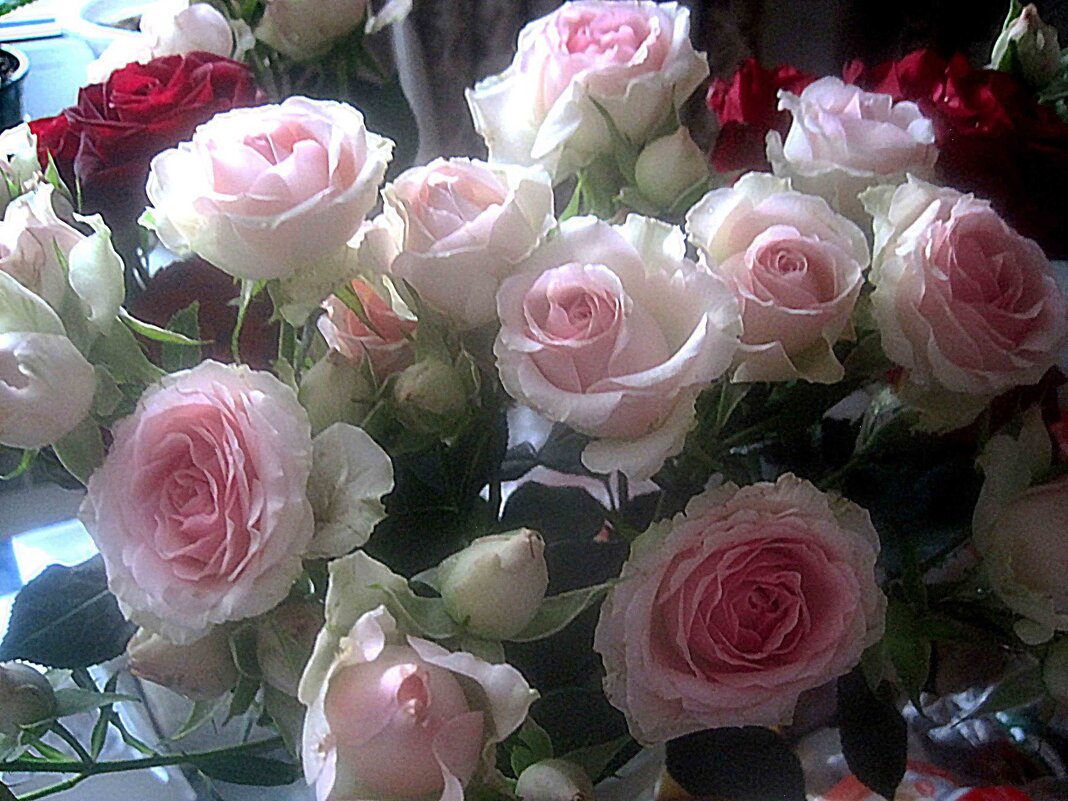 С 8 МАРТОМ! СЧАСТЬЯ,ЛЮБВИ,ДОБРА И КРАСОТЫ! - Елена Семигина