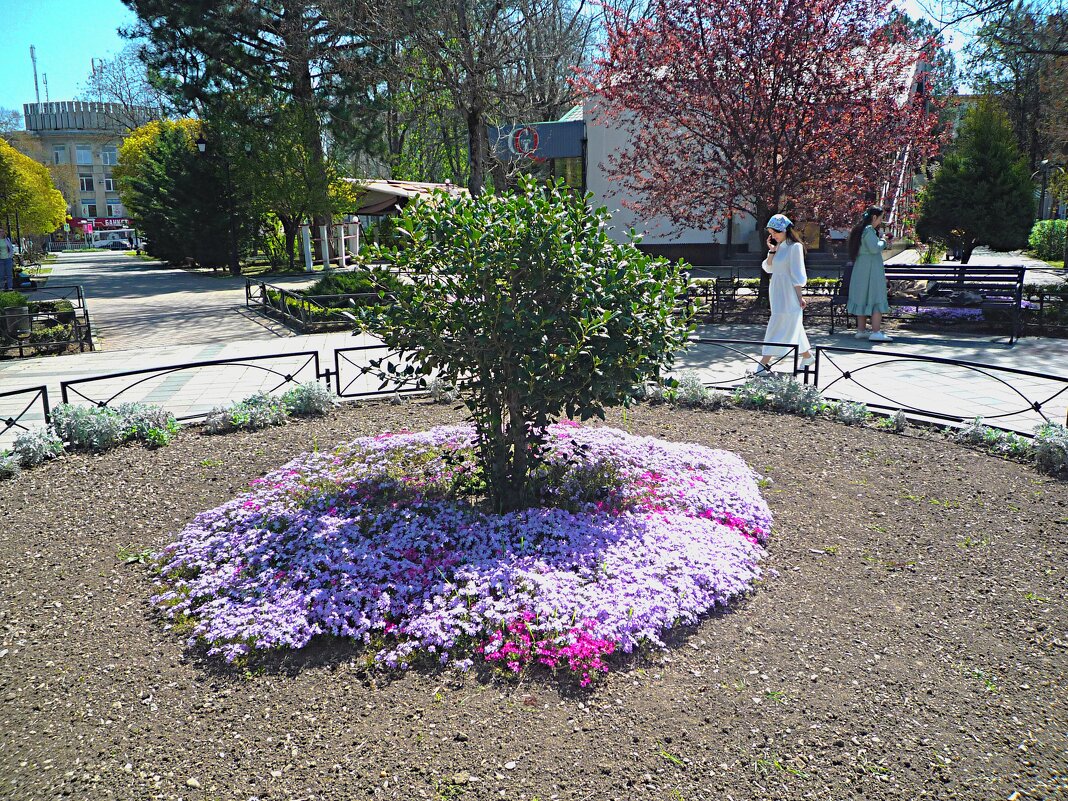 Весна в парке  Тренёва - Валентин Семчишин