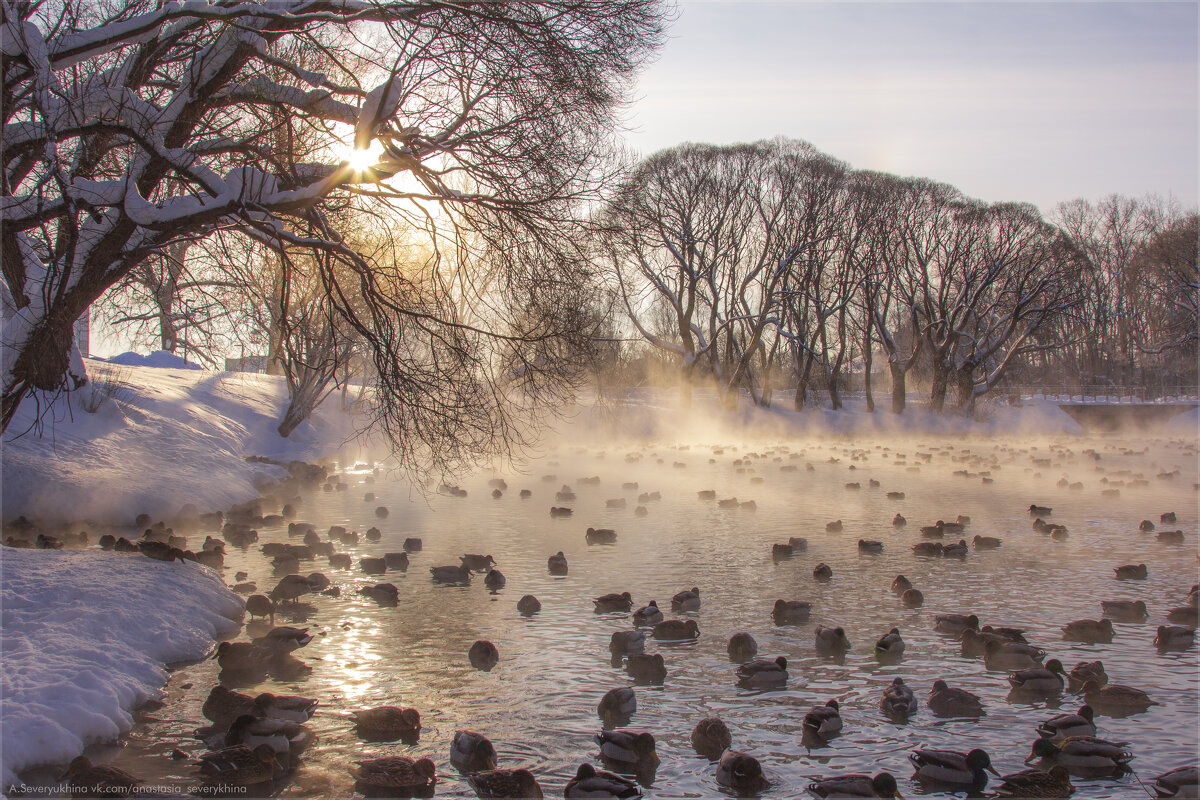 Утро - Анастасия Северюхина