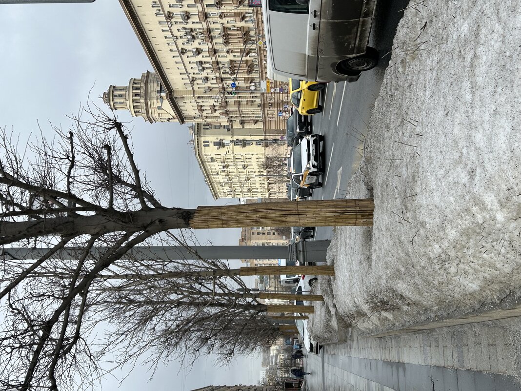 Садовое кольцо - Натали 