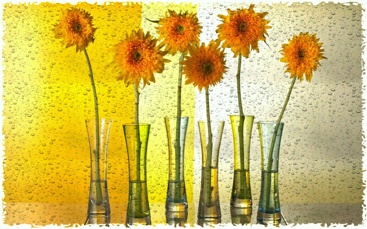 Слёзы в бокале - Виктор  /  Victor Соболенко  /  Sobolenko