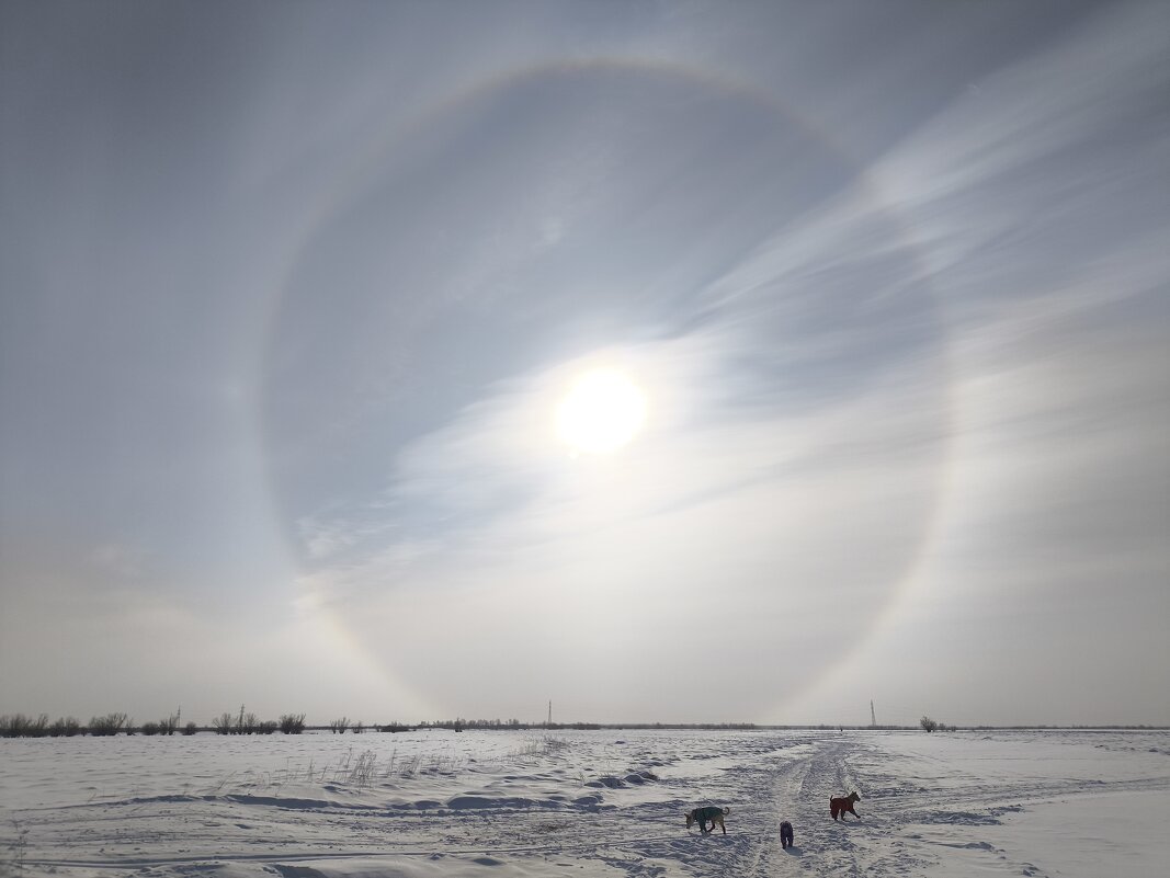 Весна - Anna Ivanova