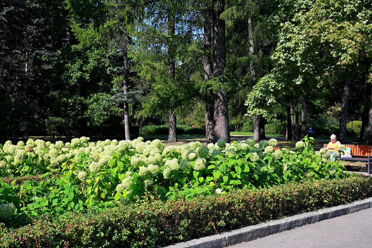 Сокольники - Игорь Белоногов