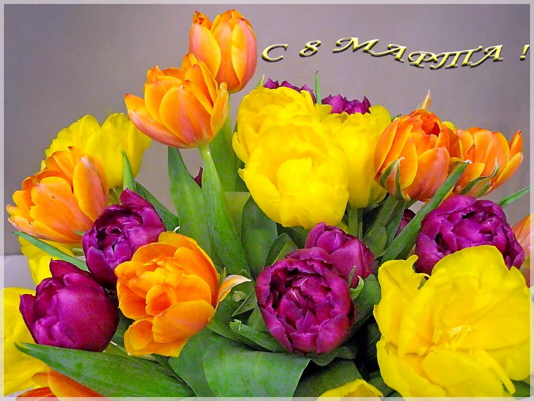 Женский день - он раз в году! Пусть он будет для всех женщин прекрасным! - Лия ☼