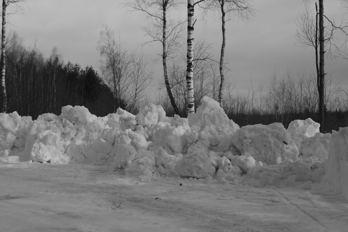 Мечты о ч/б Лейке 49. - Михаил Елочкин