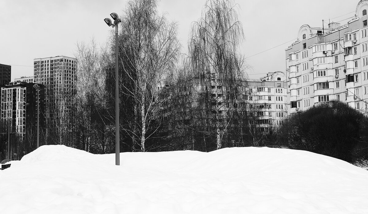 В Москву пришла весна. Вроде как... - Василий Палий