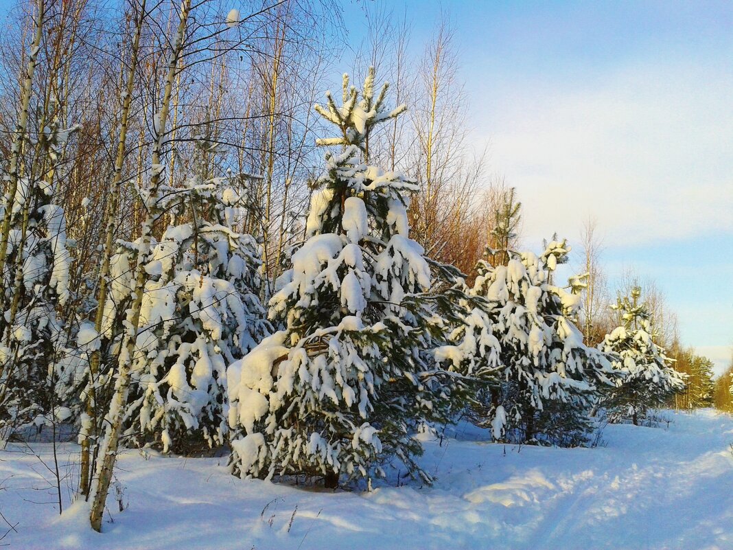 справляют 8 марта - Владимир 
