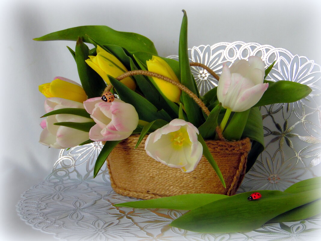 Чудесной всем весны. - nadyasilyuk Вознюк