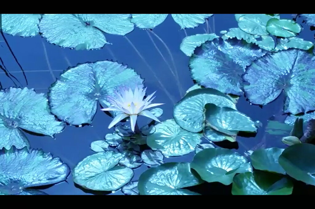 115 (179) - CLOSE WAYS ALL